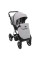 Коляска 2 в 1 Adamex Blanc Special Edidion PS-586 сірий