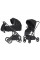 Коляска 2 в 1 Carrello Alfa/W CRL-6507 Midnight Black
