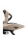 Прогулянкова коляска CARRELLO Bravo Carbon CRL-5530 Frost Beige /1/