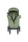 Прогулянкова коляска CARRELLO Bravo SL CRL-5520 Fruit Green