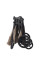 Прогулянкова коляска CARRELLO Bravo SL CRL-5520 Sand Beige