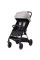 Прогулянкова коляска CARRELLO Delta CRL-5517 Flint Grey