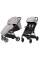 Прогулянкова коляска CARRELLO Delta CRL-5517 Flint Grey