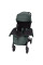 Прогулянкова коляска CARRELLO Delta CRL-5517 Jungle Green
