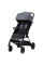Прогулянкова коляска CARRELLO Delta CRL-5517 Lava Grey
