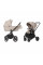 Коляска 2 в 1 Carrello Epica CRL-8510/1 Almond Beige