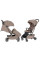 Прогулянкова коляска CARRELLO Magia CRL-5555 Spice Beige