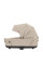 Коляска універсальна CARRELLO Omega CRL-6540/1 Solar Beige (2in1) + adapters