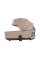 Коляска універсальна CARRELLO Ultra CRL-6527 2в1 Floral Beige /1/