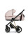 Коляска 2 в 1 Roan Ivi Candy Gold R-I-CY