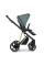 Коляска 2 в 1 Roan Ivi Pine Green Gold R-I-PG