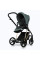 Коляска 2 в 1 Roan Ivi Pine Green Gold R-I-PG