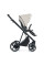 Коляска 2 в 1 Roan Ivi Sesame 2.0