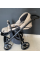 Коляска 2 в 1 Roan Liv Beige R-L-BG