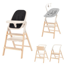 Стілець для годування CARRELLO Ergo CRL-16701 Obsidian Black /1
