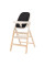 Стілець для годування CARRELLO Ergo CRL-16701 Obsidian Black /1