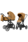 Коляска універсальна CARRELLO Alfa CRL-6522 (2in1) Honey Beige