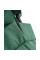 Прогулянкова коляска CARRELLO Cross CRL-5523 Parrot Green /1/