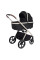 Коляска універсальна CARRELLO Vector CRL-6550 2в1 Pearl Black /1/