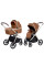 Коляска універсальна CARRELLO Vector CRL-6550 2в1 Coral Beige /1/