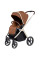 Коляска універсальна CARRELLO Vector CRL-6550 2в1 Coral Beige /1/