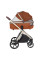 Коляска універсальна CARRELLO Vector CRL-6550 2в1 Coral Beige /1/