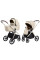 Коляска універсальна CARRELLO Vector CRL-6550 2в1 Seashell Beige /1/