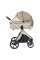 Коляска універсальна CARRELLO Vector CRL-6550 2в1 Seashell Beige /1/