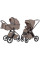 Коляска універсальна CARRELLO Vector CRL-6550 2в1 Cashmere Beige