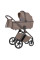 Коляска універсальна CARRELLO Vector CRL-6550 2в1 Cashmere Beige