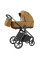 Коляска універсальна CARRELLO Vector CRL-6551 2в1 Golden Beige /1/