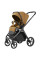 Коляска універсальна CARRELLO Vector CRL-6551 2в1 Golden Beige /1/