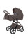 Коляска універсальна CARRELLO Vector CRL-6550 2в1 Merino Beige