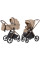 Коляска універсальна CARRELLO Vector CRL-6550 2в1 Foam Beige /1/
