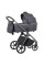 Коляска універсальна CARRELLO Vector CRL-6550 2в1 Landscape Grey