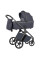 Коляска універсальна CARRELLO Vector CRL-6550 2в1 Plum Grey