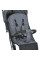 Коляска дитяча M 5727-1 FLASH Gray
